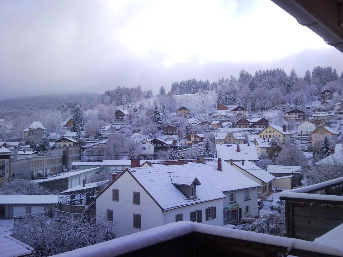 Tilleul Plaza Résidence Gérardmer Kültér fotó